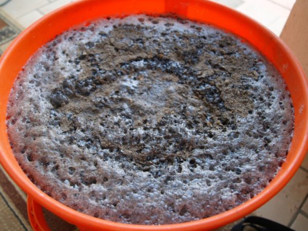 Ready yeast dressing on bread