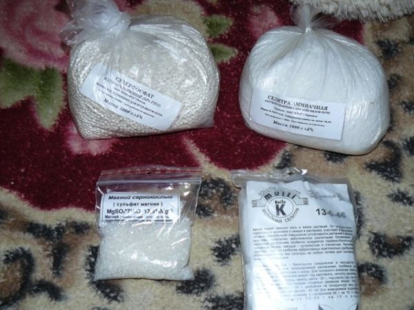 Composants simples à faire soi-même pour la culture hydroponique