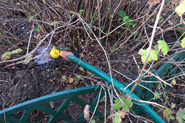 Arrosage sous chaque buisson