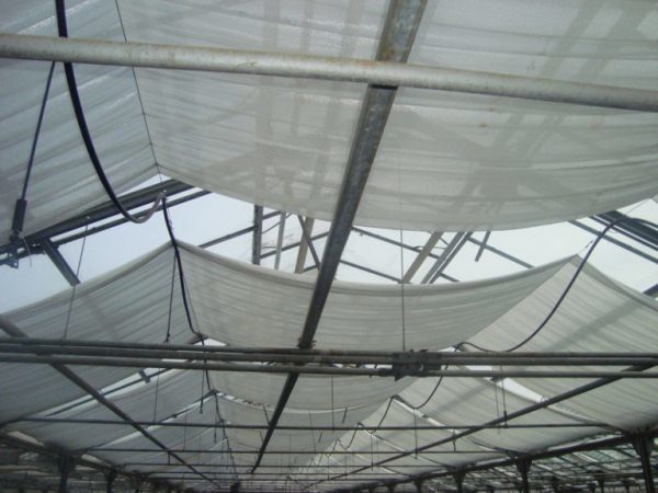 Ombre à effet de serre