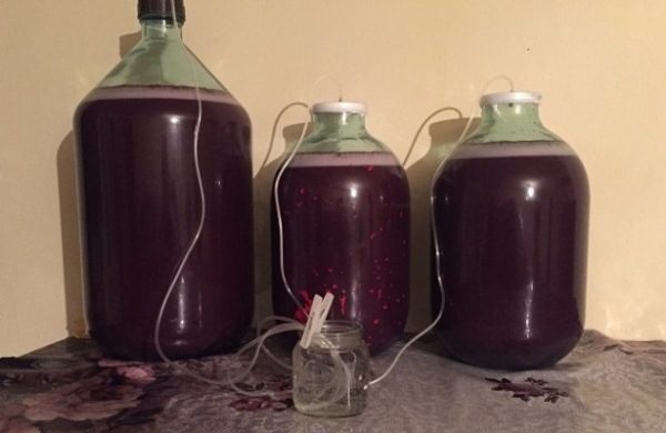 Fermentation du vin sous le sceau de l'eau