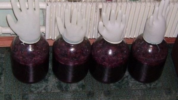 Fermentazione del vino secondario dal torchio