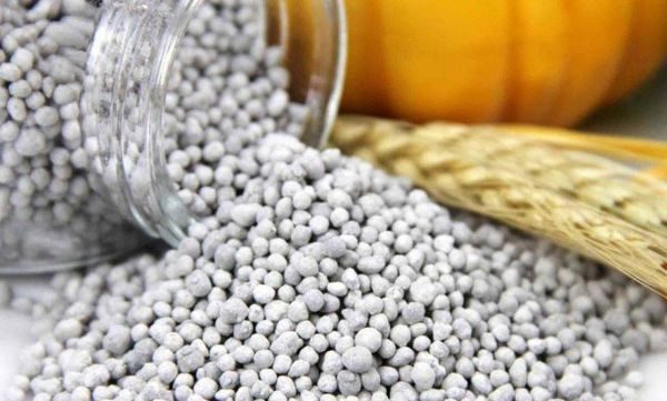 Engrais de granulation minérale pour citron