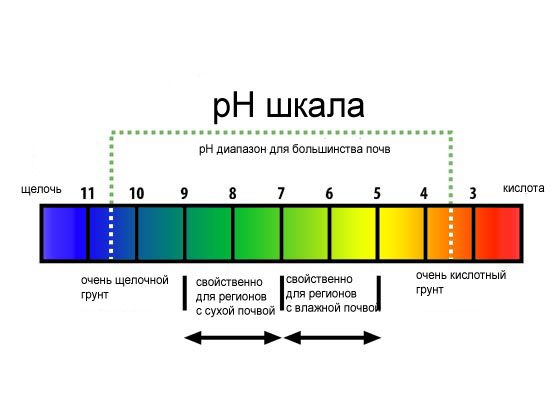 Soil pH scale