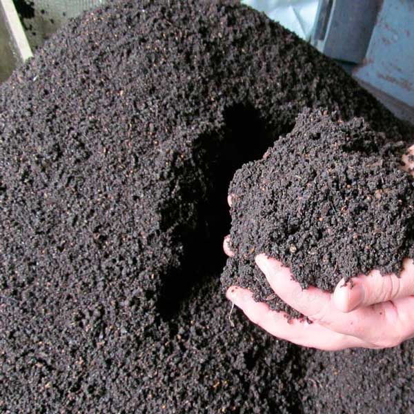 Before planting the land can be fertilized