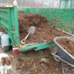 Fumier de cheval à demi déchiré