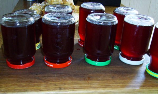 عصير العنب محلية الصنع