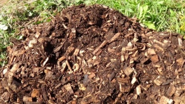 Compost from sawdust