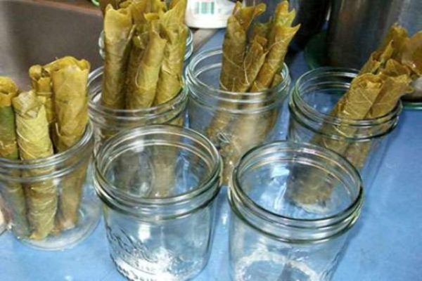 تحضير لتخليل ورق العنب