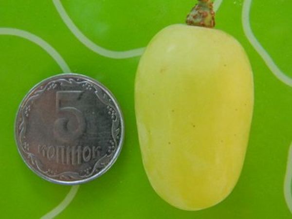 Lily of the valley berries have a sweet nutmeg taste