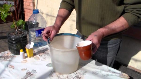 Début de l'élevage d'engrais concentré baikal em-1 pour les lits en déversement