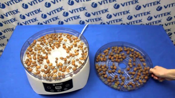 Faire des raisins secs dans un séchoir électrique