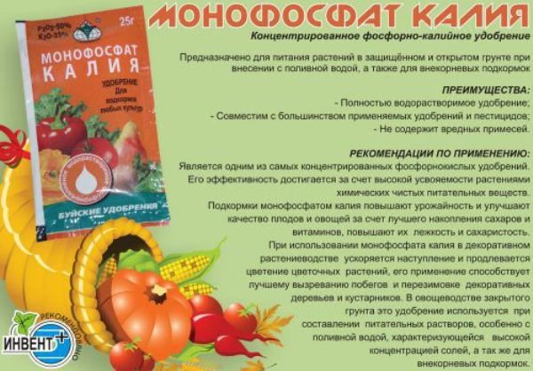 Potassium monophosphate does not contain harmful impurities