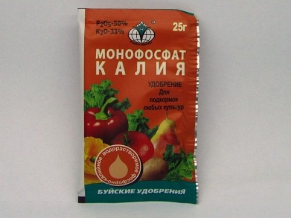 Superphosphates are considered a universal type of fertilizer, therefore it is used for various purposes: from gardening to strengthening the growth of shrubs and trees.