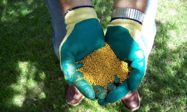 Fertilizzante granulato per mirtillo