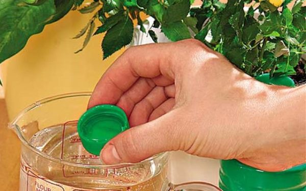 Solution de dilution nv-101