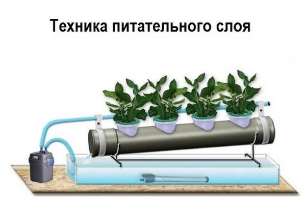 Technik der Nährstoffschicht