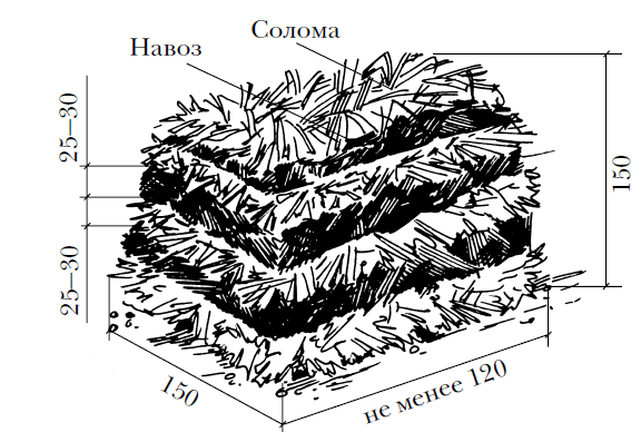 Le schéma des principaux composants du compost de champignons