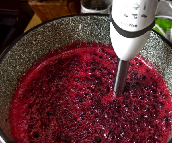 Na fabricação de molho com uvas de raiz forte esmagado liquidificador