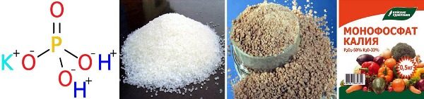 Structural formula and forms of release of potassium monophosphate