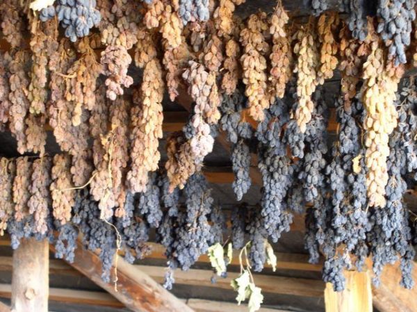 Faire des raisins secs par séchage naturel