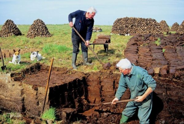 Peat extraction