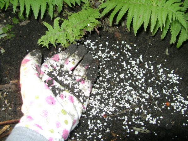 The application rate depends on where the fertilizer will be applied.