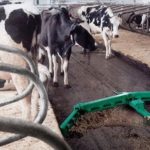 Méthode mécanique d'élimination du fumier