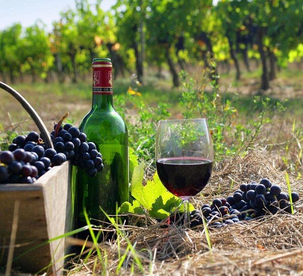 Le vin rouge résultant