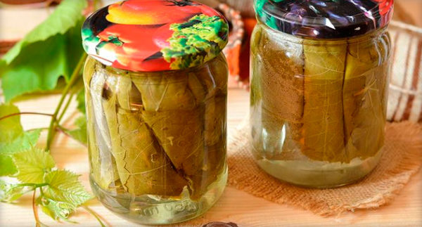 أوراق العنب مخلل في جرة
