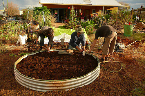 Le chervyatnik peut être n'importe quelles formes et tailles