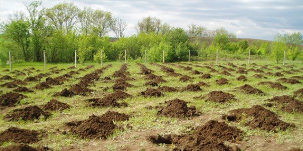 Preparatory pre-work