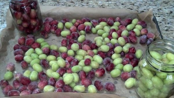 Замразено грозде