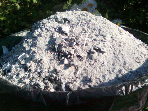 Pas d'azote dans les engrais comme engrais