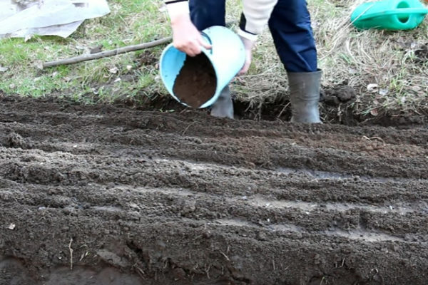 Et saupoudré d'engrais sur le dessus.