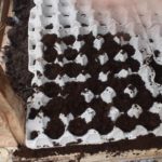 Les cellules sont placées sur le lit et saupoudrées de terre.